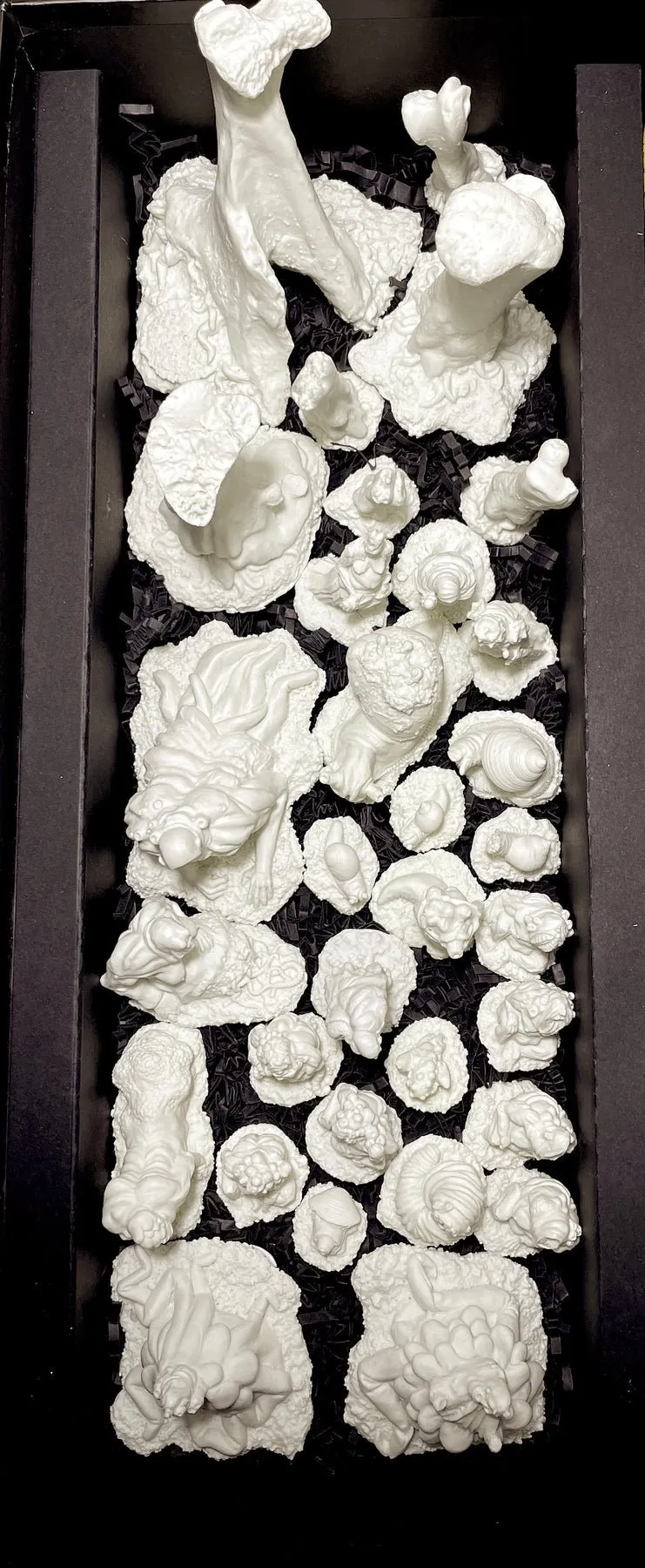 Boneforest