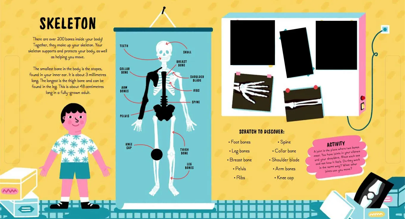 Book - Human Body (Scratch & Learn)