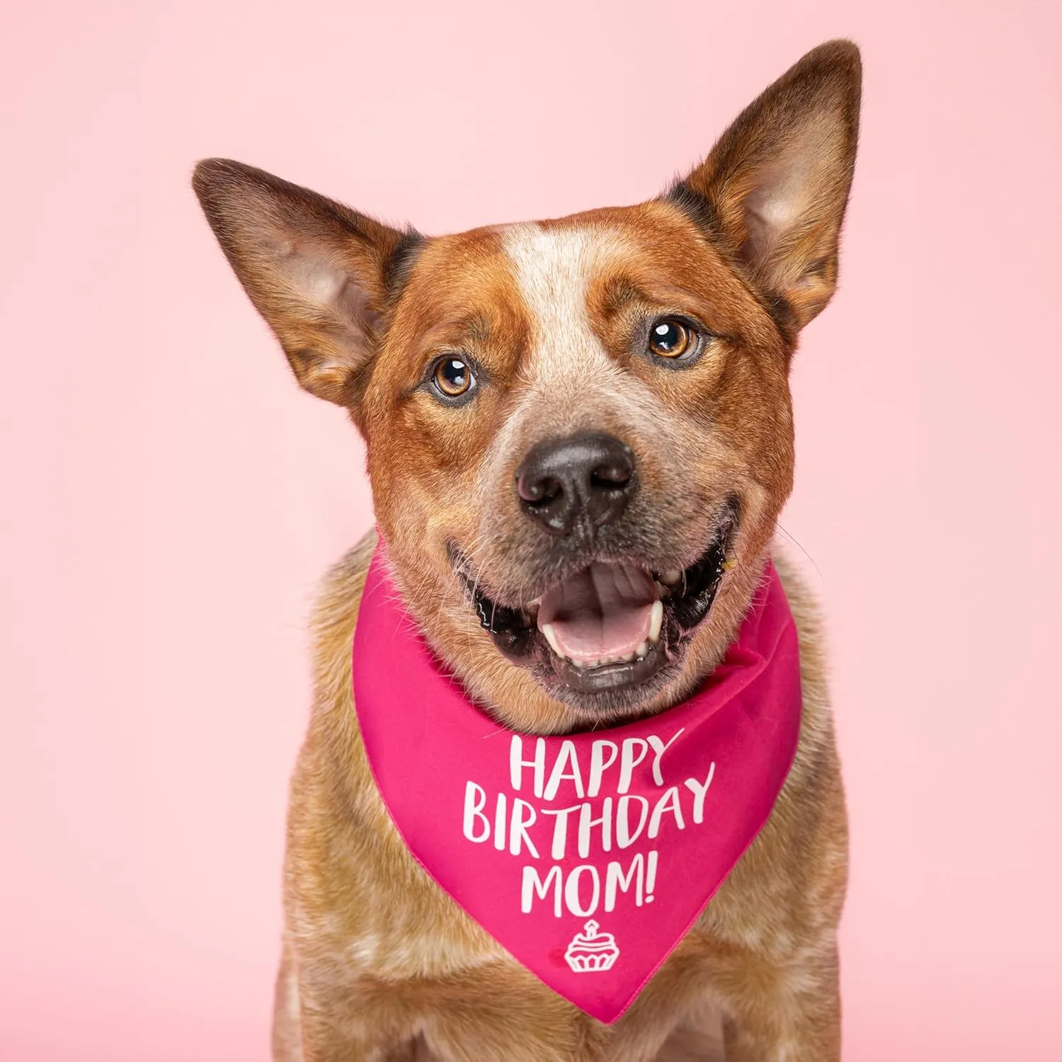 Happy Birthday Mom! Dog Bandana | 100% Cotton Adjustable Triangle | Made in USA | Birthday Pawty | Party Theme | Celebration Photoshoot Prop | Mom Dad | Lime Green, One Size (168)